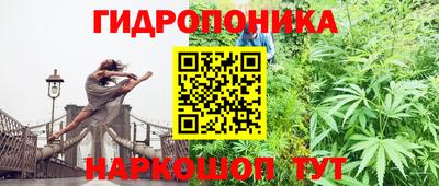 стаф Донецк