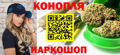 МДПВ Дубна