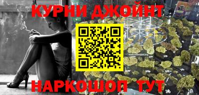 МДПВ Дубна