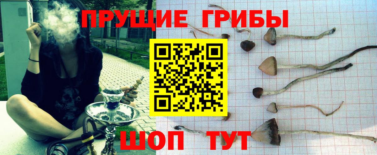 Псилоцибиновые грибы мицелий Североуральск