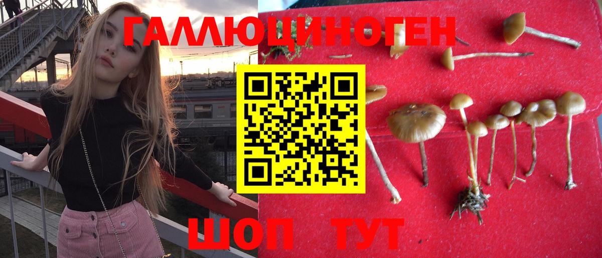 Псилоцибиновые грибы MAGIC MUSHROOMS  Псилоцибиновые грибы мухоморы  Вход с VPN  Североуральск 